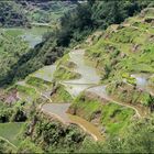 Die Reisterrassen von Banaue