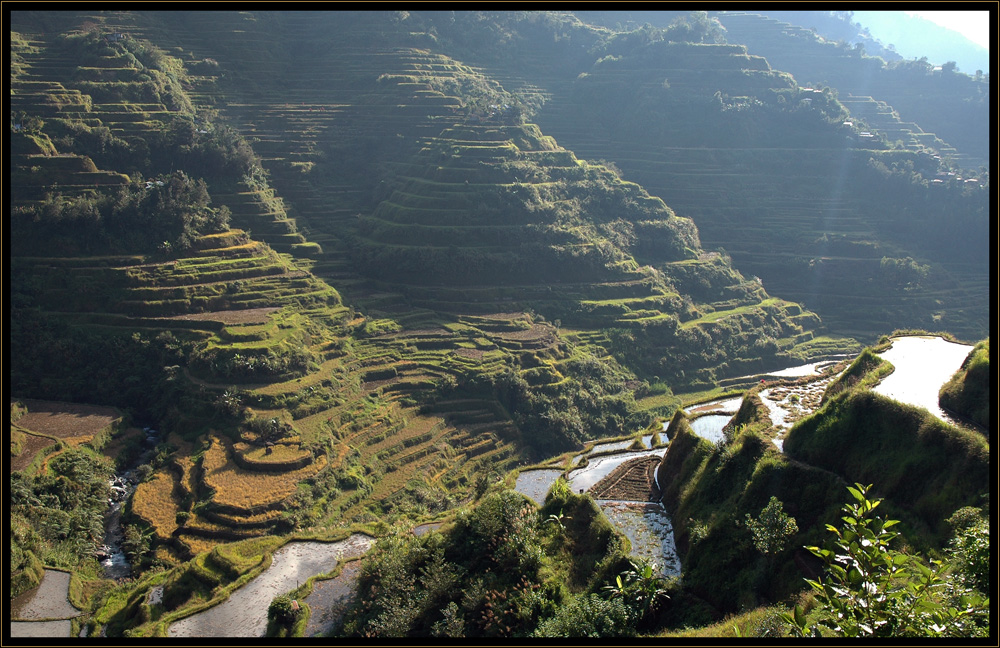 Die Reisterrassen von Banaue...