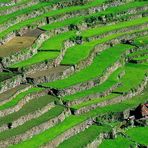 Die Reisterrassen von Batad