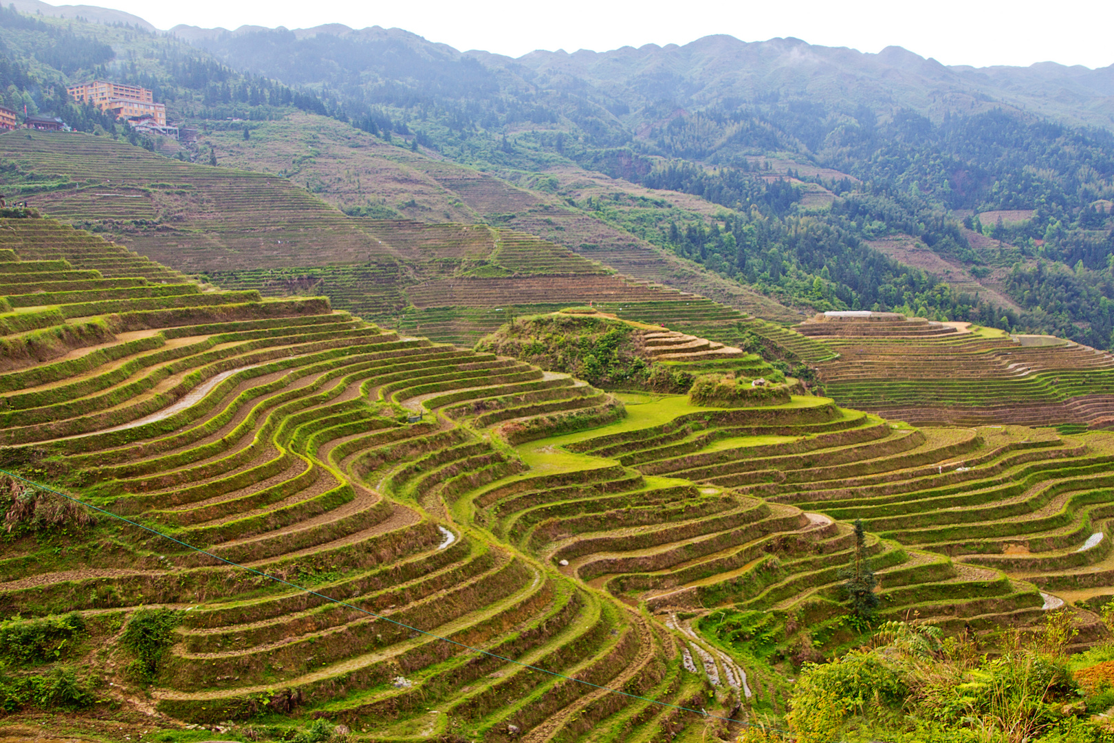 Die Reisterrassen von Longsheng, China