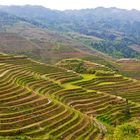 Die Reisterrassen von Longsheng, China