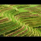 Die Reisterrassen von Longsheng / Rice terraces in  Longsheng