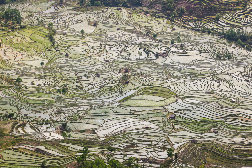 Die Reisterrassen von Yuanyang