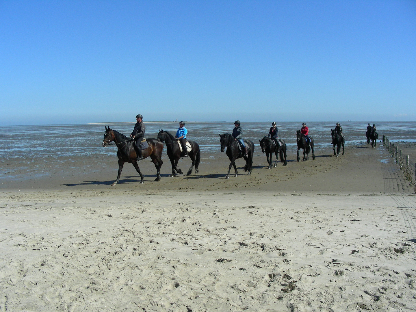 Die Reiter aus dem Meer