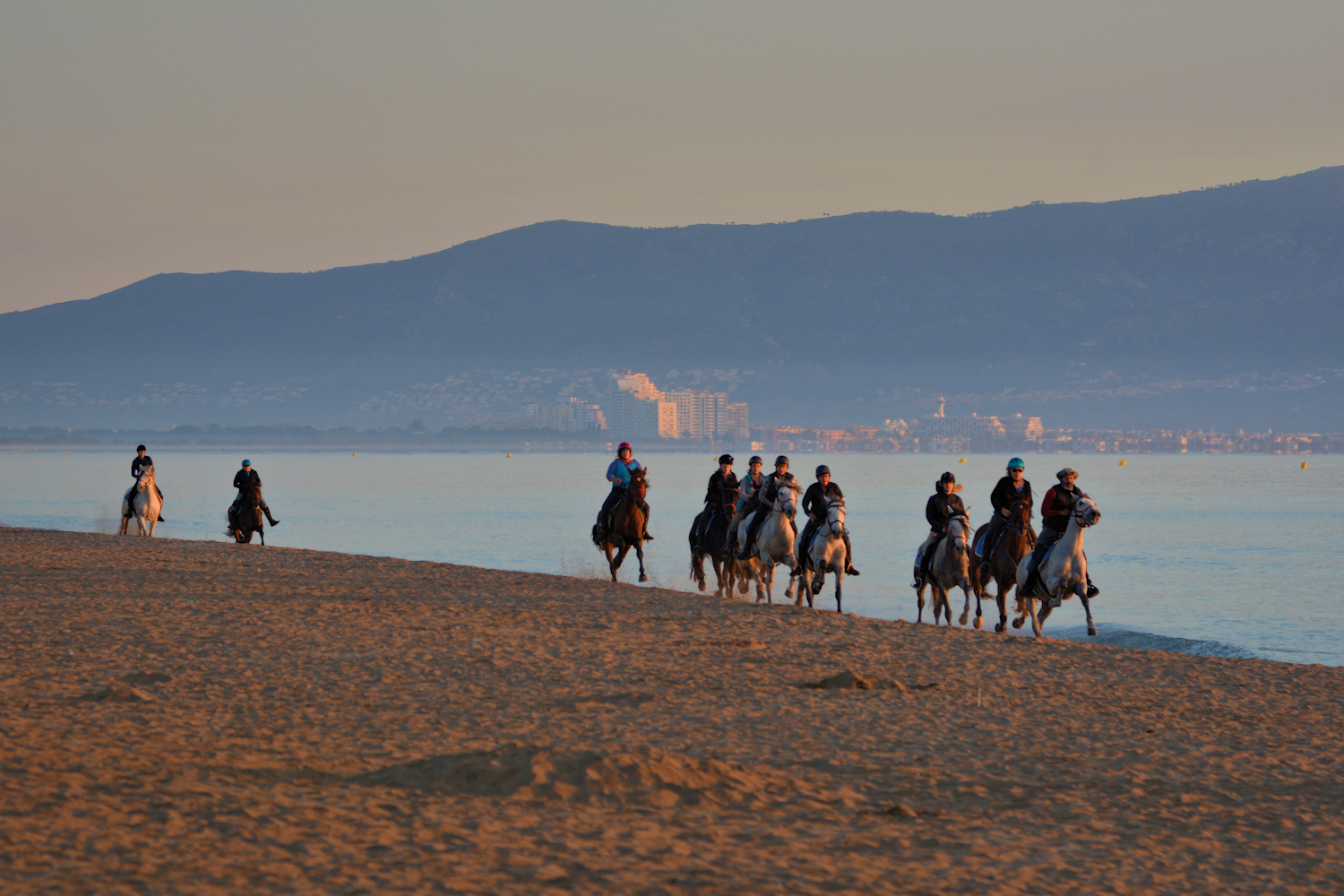 die Reiter im Galopp reiten....