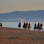 die Reiter im Galopp reiten....