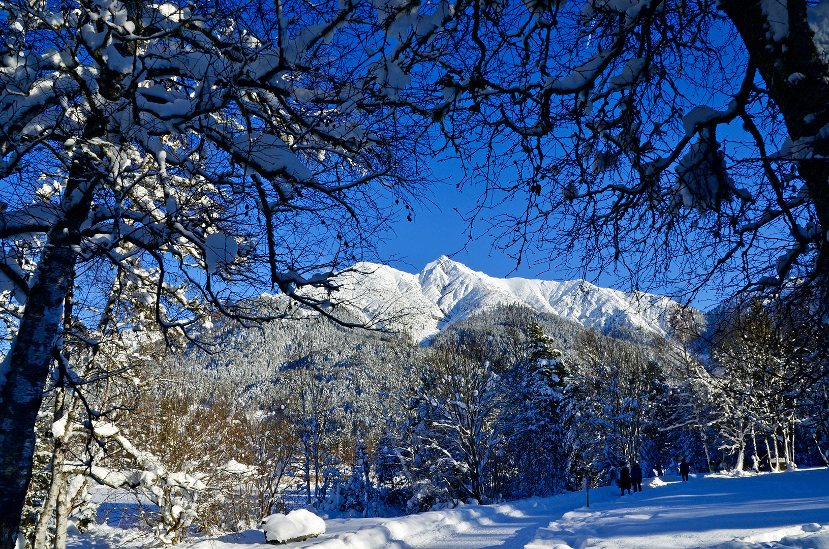 Die Reither Spitze