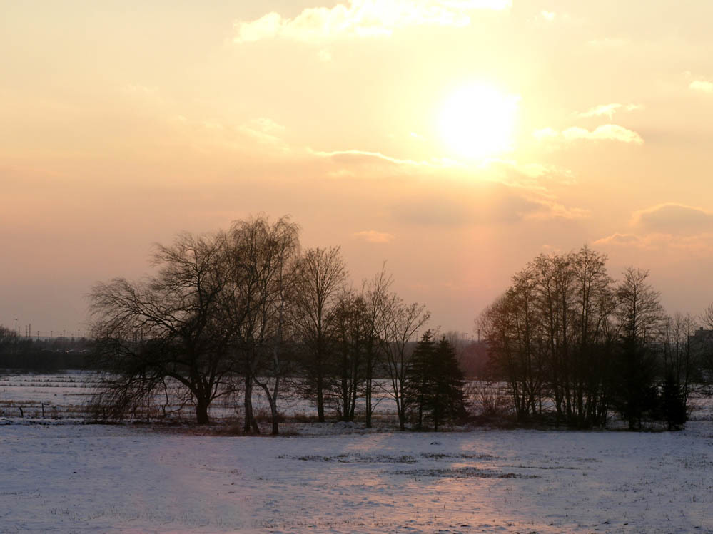 Die reizvollen Seiten des Winters