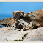 Die Remarkable Rocks am Kirkpatrick Point