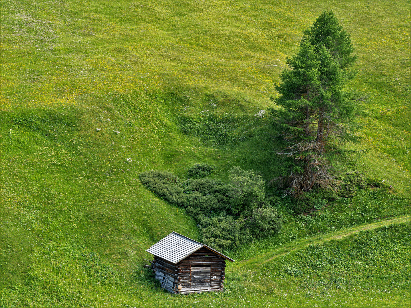 Die Reschenalm