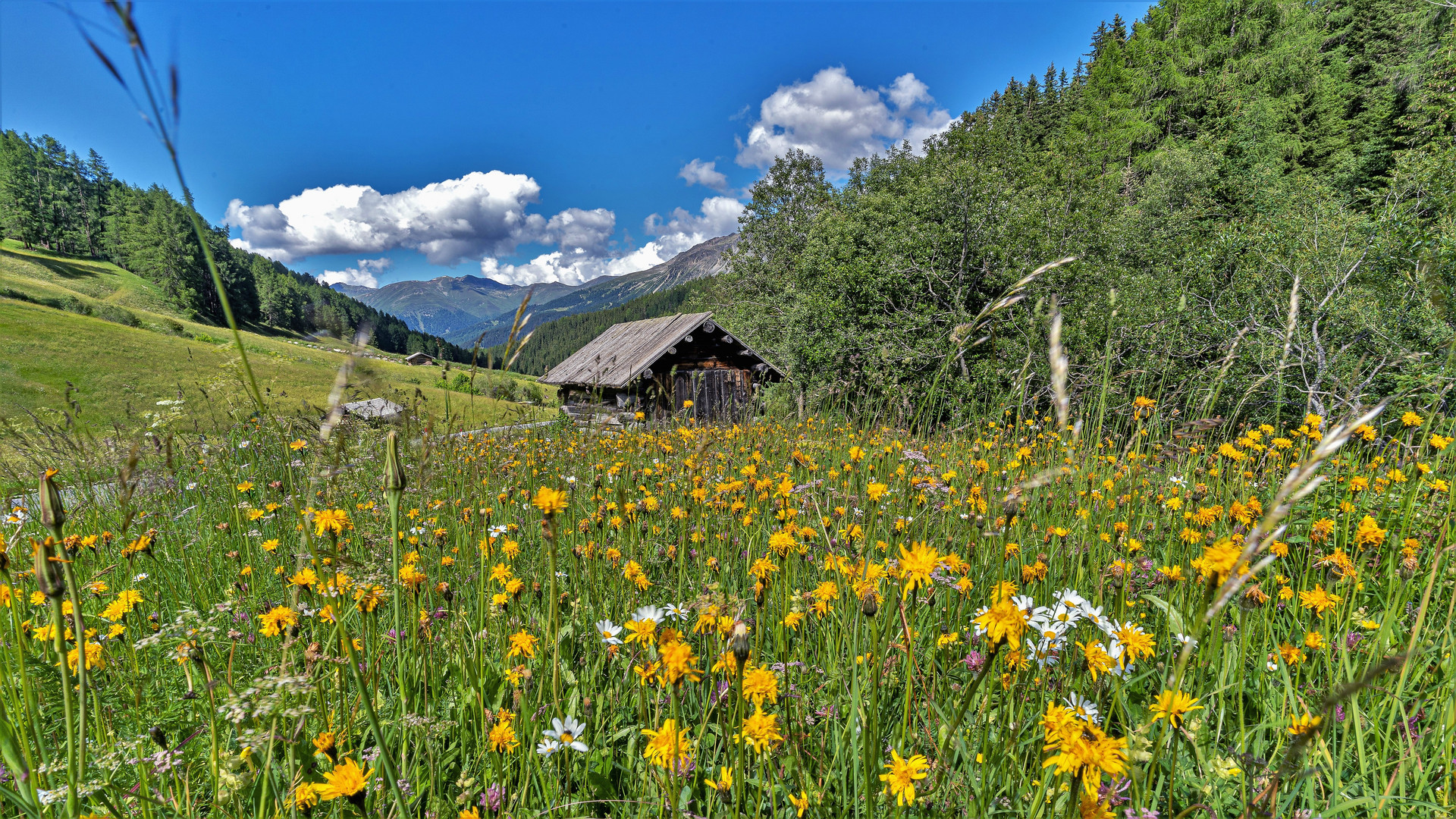 Die Reschenalm in Süd-Tirol: Ein Ort zum Träumen