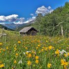 Die Reschenalm in Süd-Tirol: Ein Ort zum Träumen