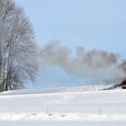 Die Reste des Fasnachtsfeuers: Oflingser Funken am Mittag des 22.2.10