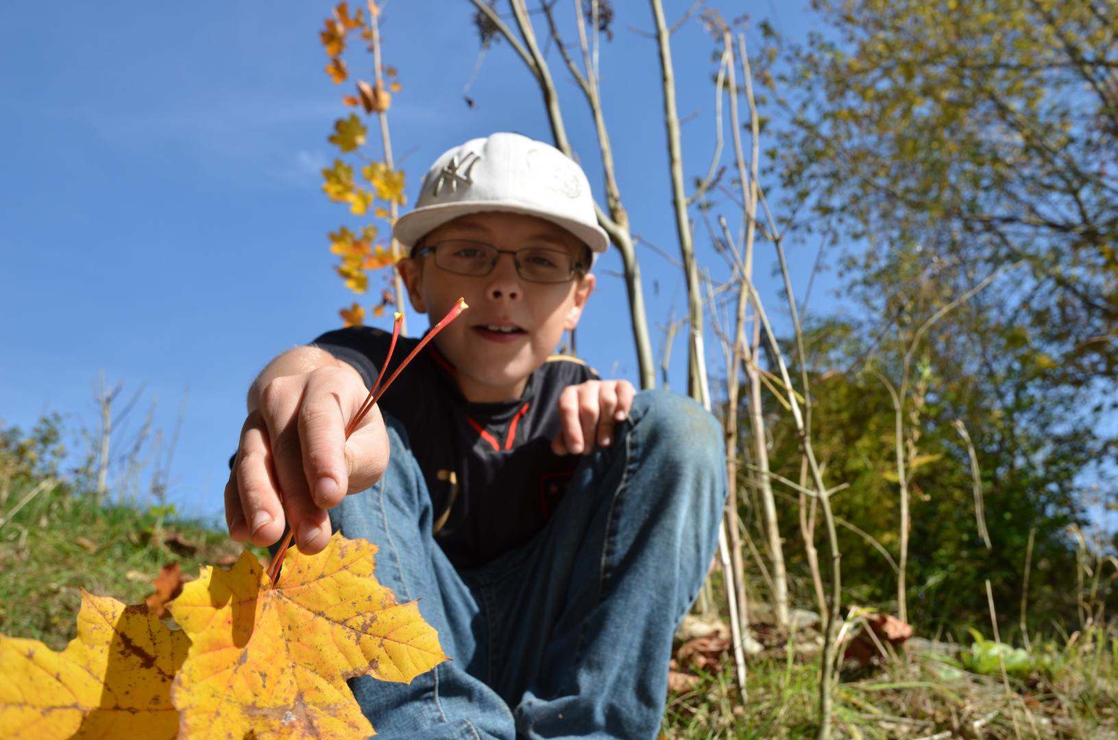 Die Reste des Herbstes