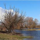 Die Rester vom Hochwasser