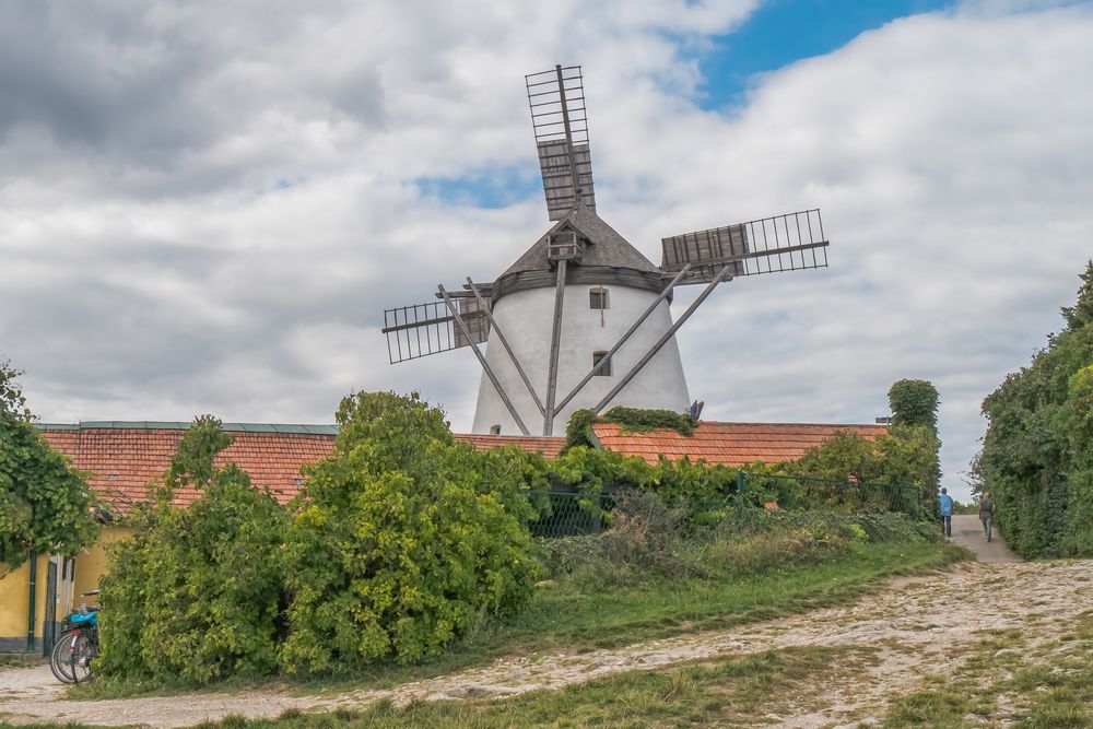 Die Retzer Windmühle (2)