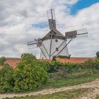 Die Retzer Windmühle (2)