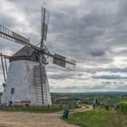 Die Retzer Windmühle (3)