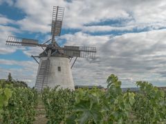 Die Retzer Windmühle (5)