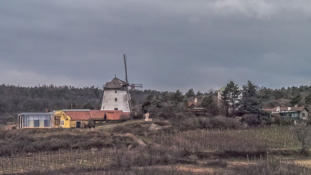 Die Retzer Windmühle (6)