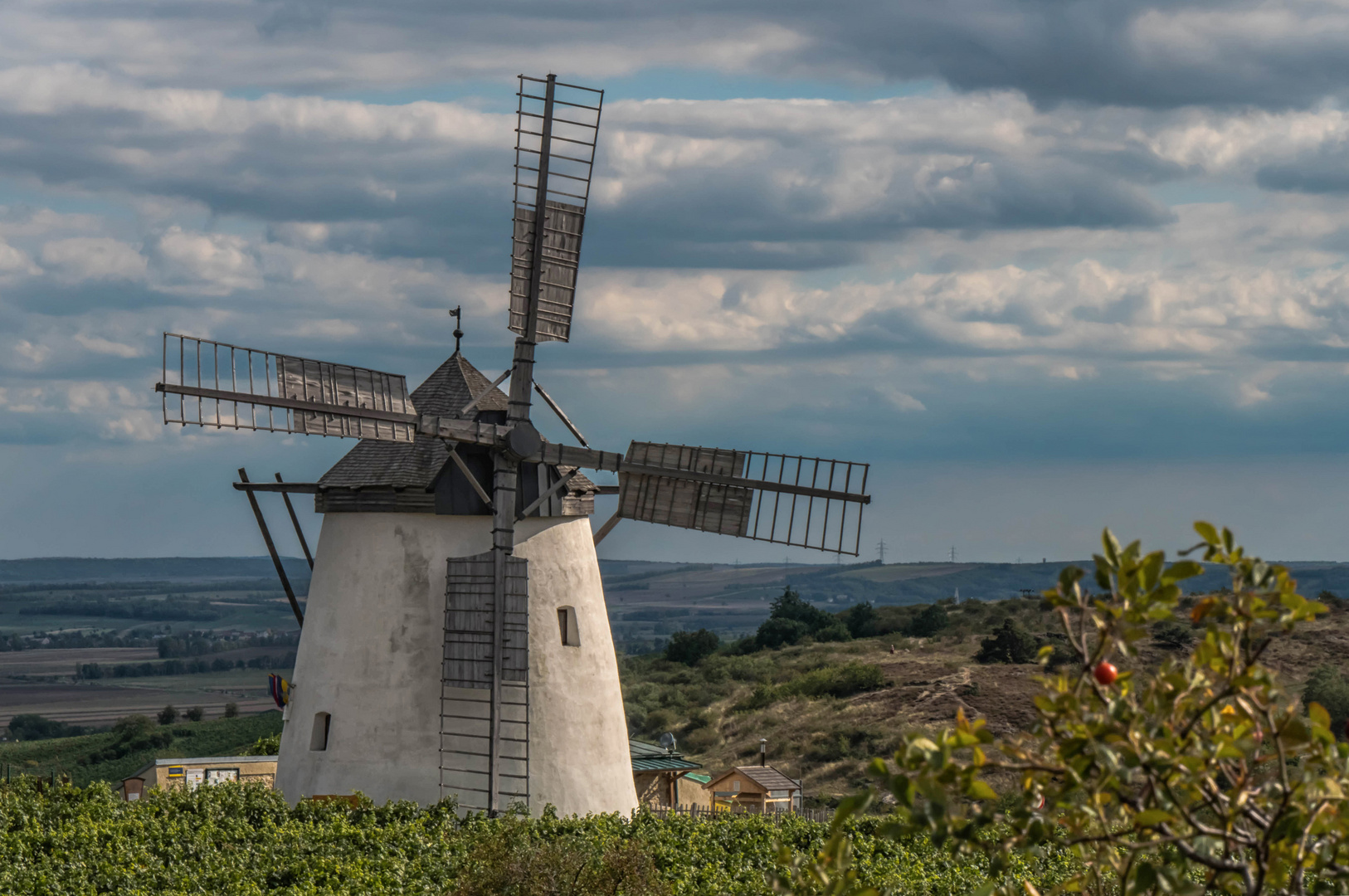 Die Retzer Windmühle (7)