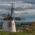 Die Retzer Windmühle (7)