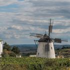 Die Retzer Windmühle (8)