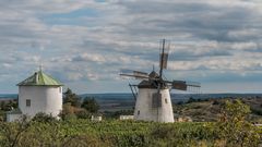 Die Retzer Windmühle (8)