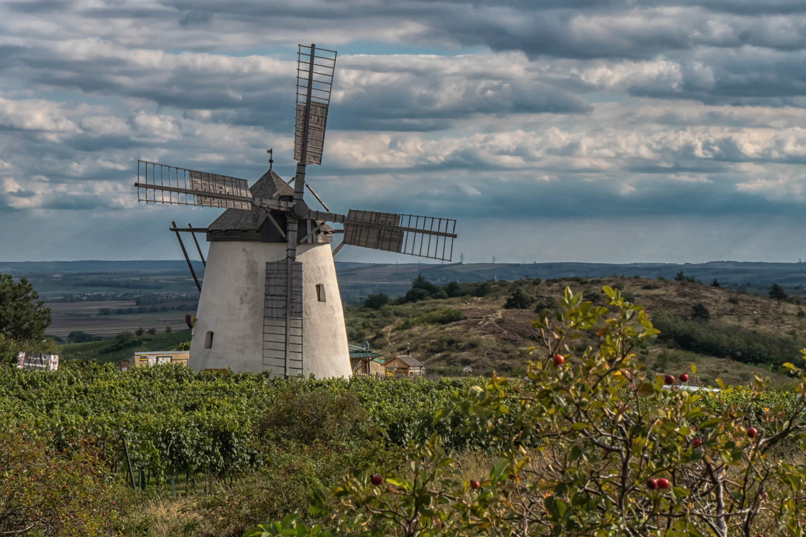 Die Retzer Windmühle