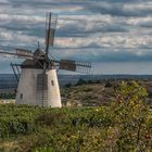 Die Retzer Windmühle