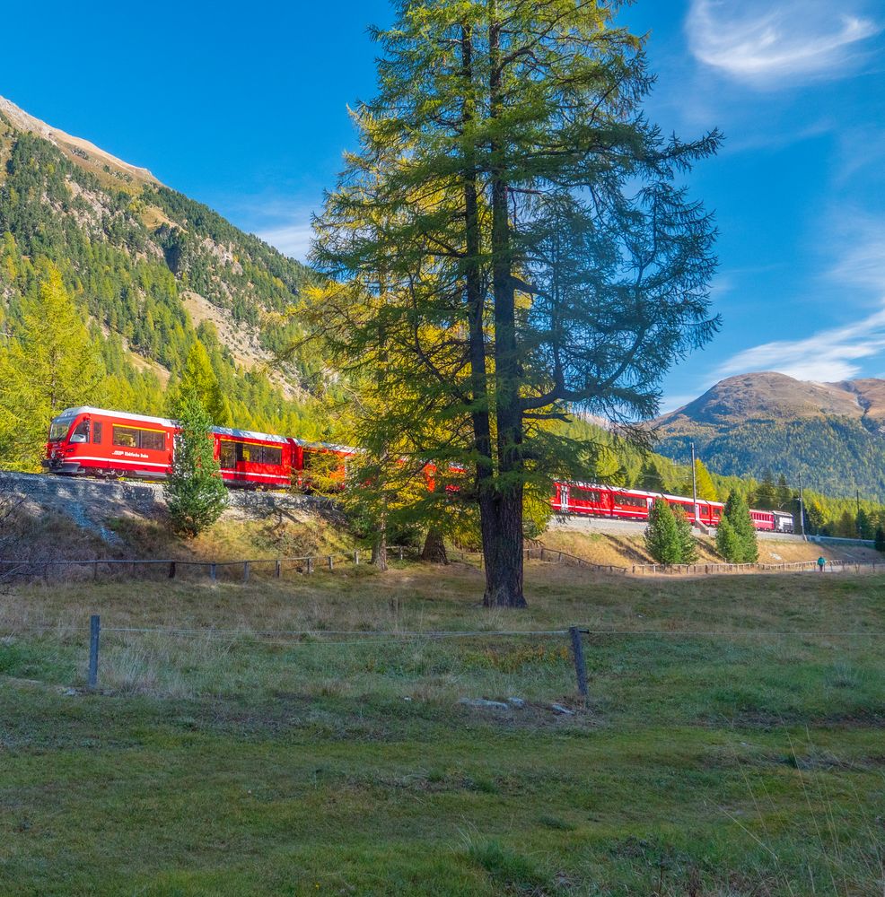 die RhB im Val Bever bei Spinas