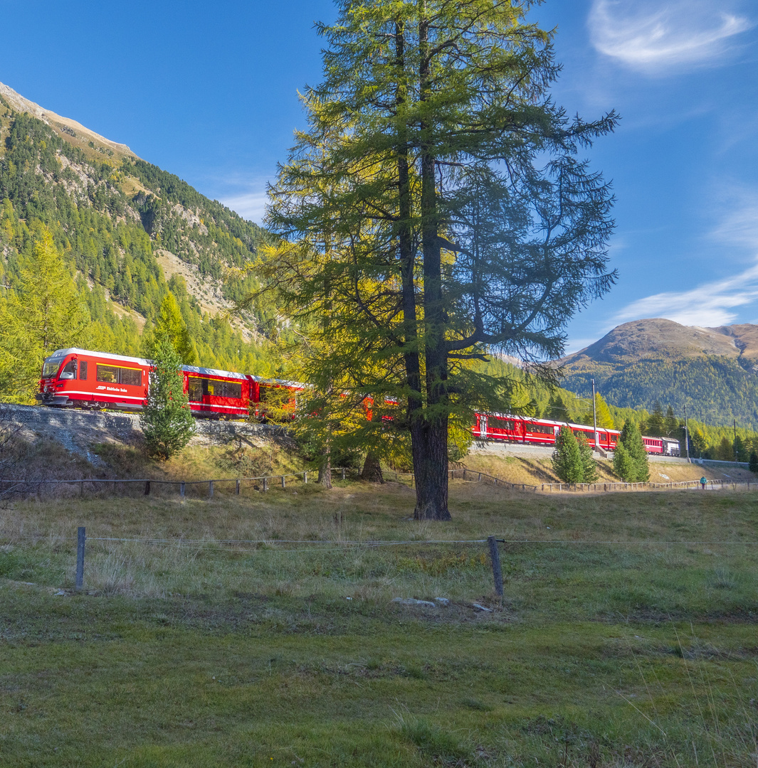 die RhB im Val Bever bei Spinas