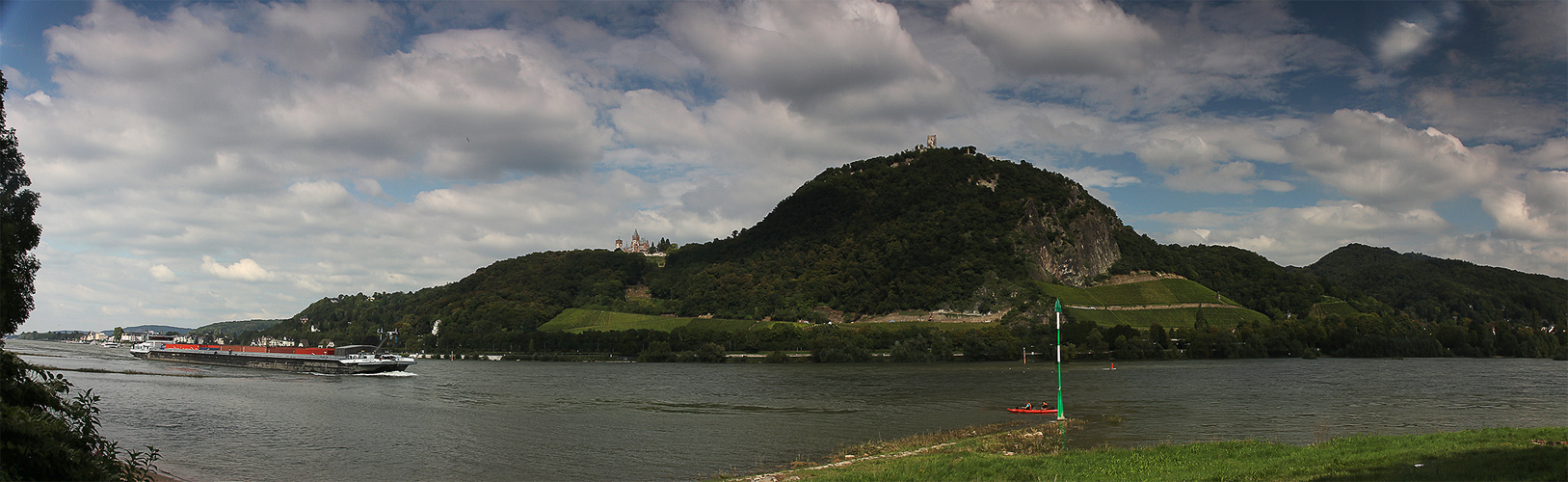 Die Rheinaue bei Bonn