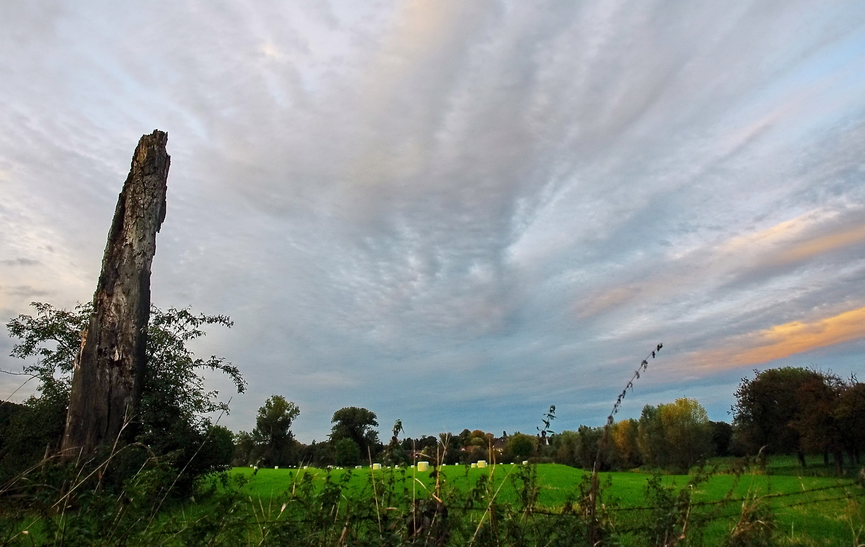 Die Rheinaue bei Urdenbach