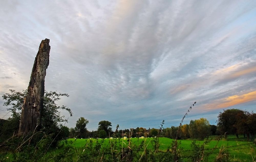 Die Rheinaue bei Urdenbach von SonjaH 