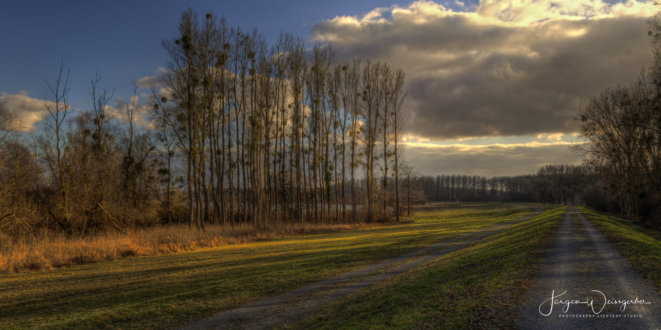 Die Rheinauen bei Dettenheim