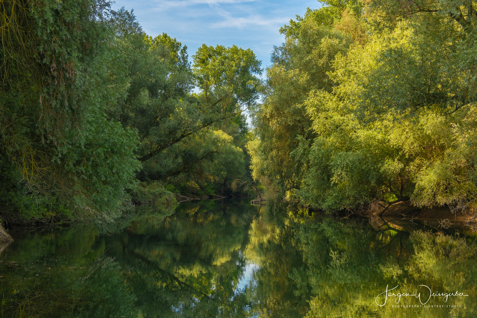 Die Rheinauen bei Karlsruhe