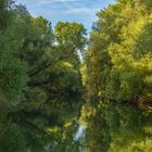 Die Rheinauen bei Karlsruhe