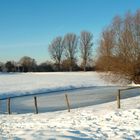 Die Rheinauen im Winterkleid.