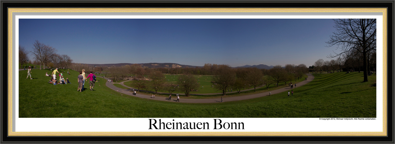 Die Rheinauen in Bonn