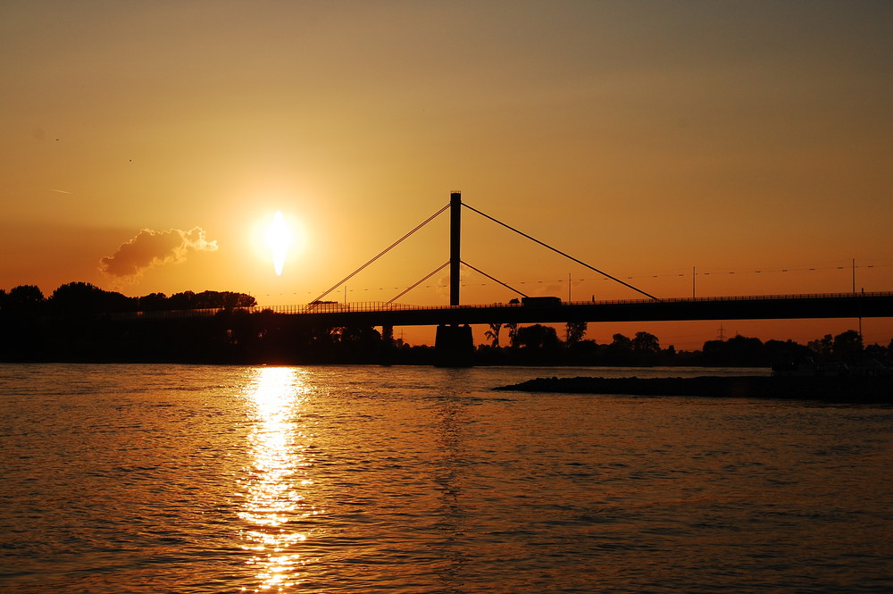 die rheinbrücke im gegenlicht