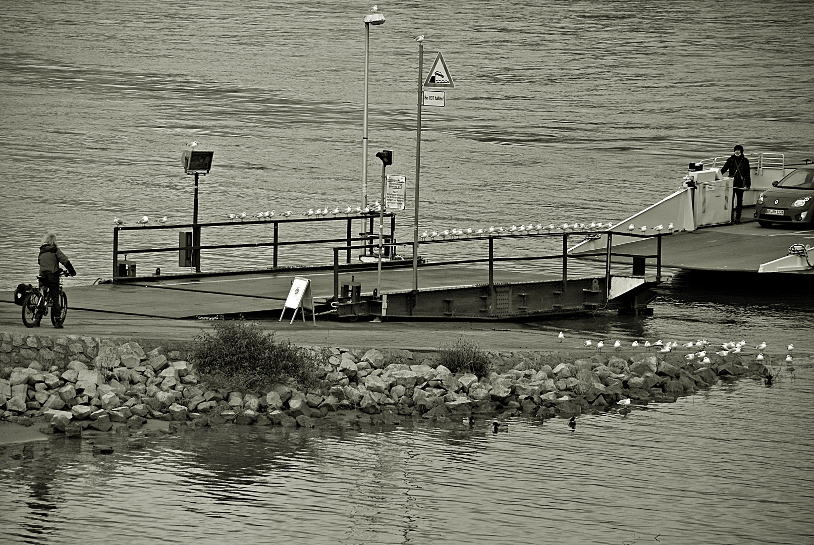 Die Rheinfähre kommt