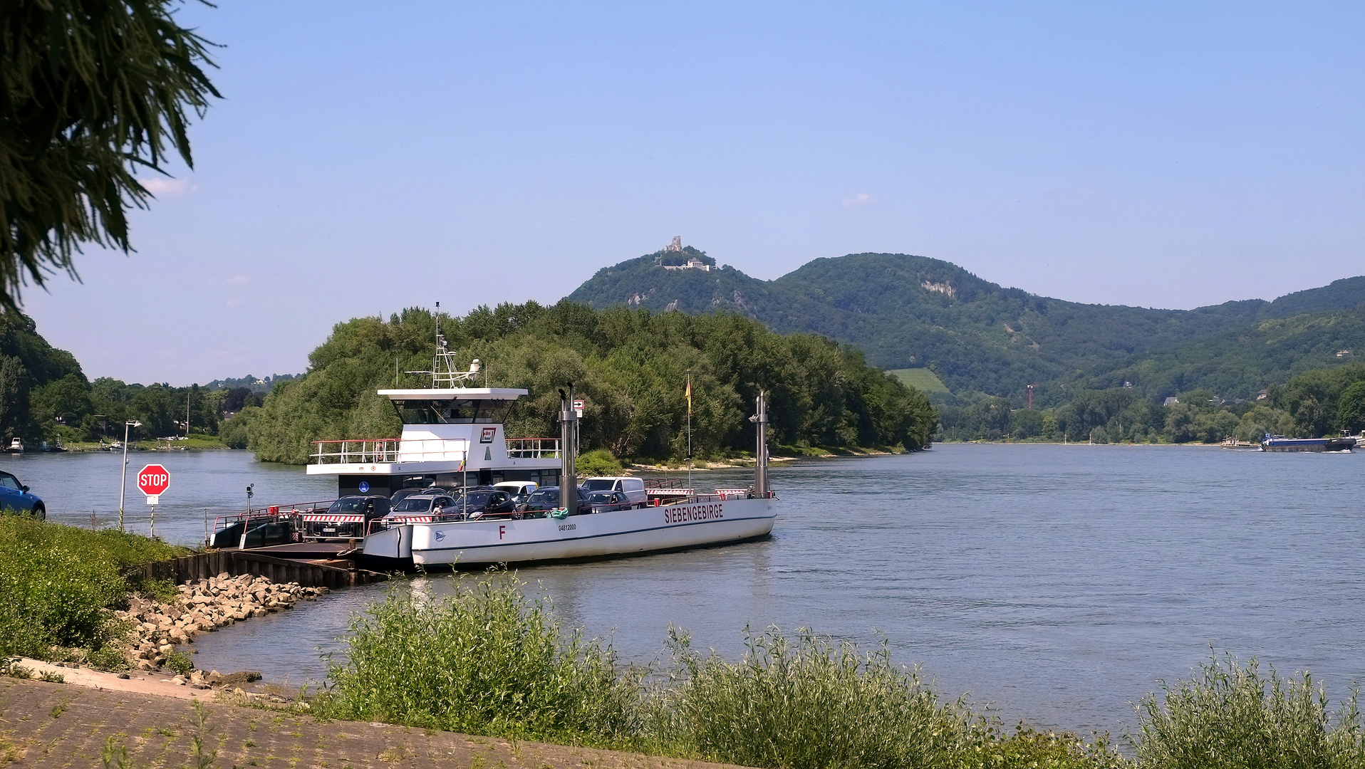 die Rheinfähre "Siebengebirge"