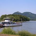 die Rheinfähre "Siebengebirge"