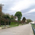 die Rheinpromenade