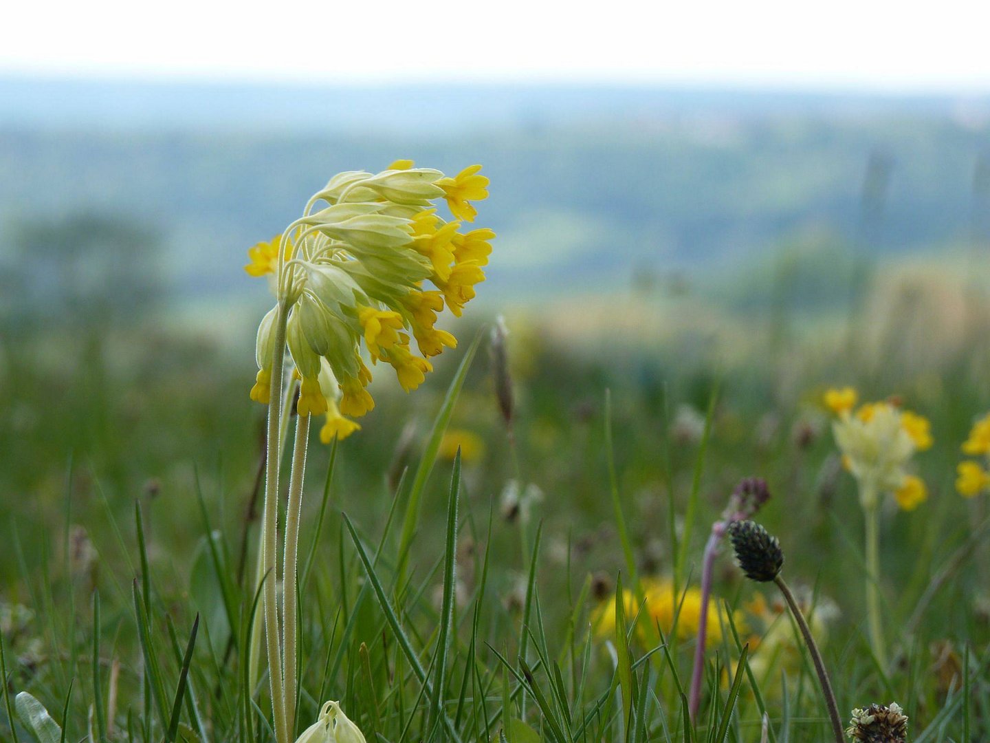 die Rhön im Frühjahr