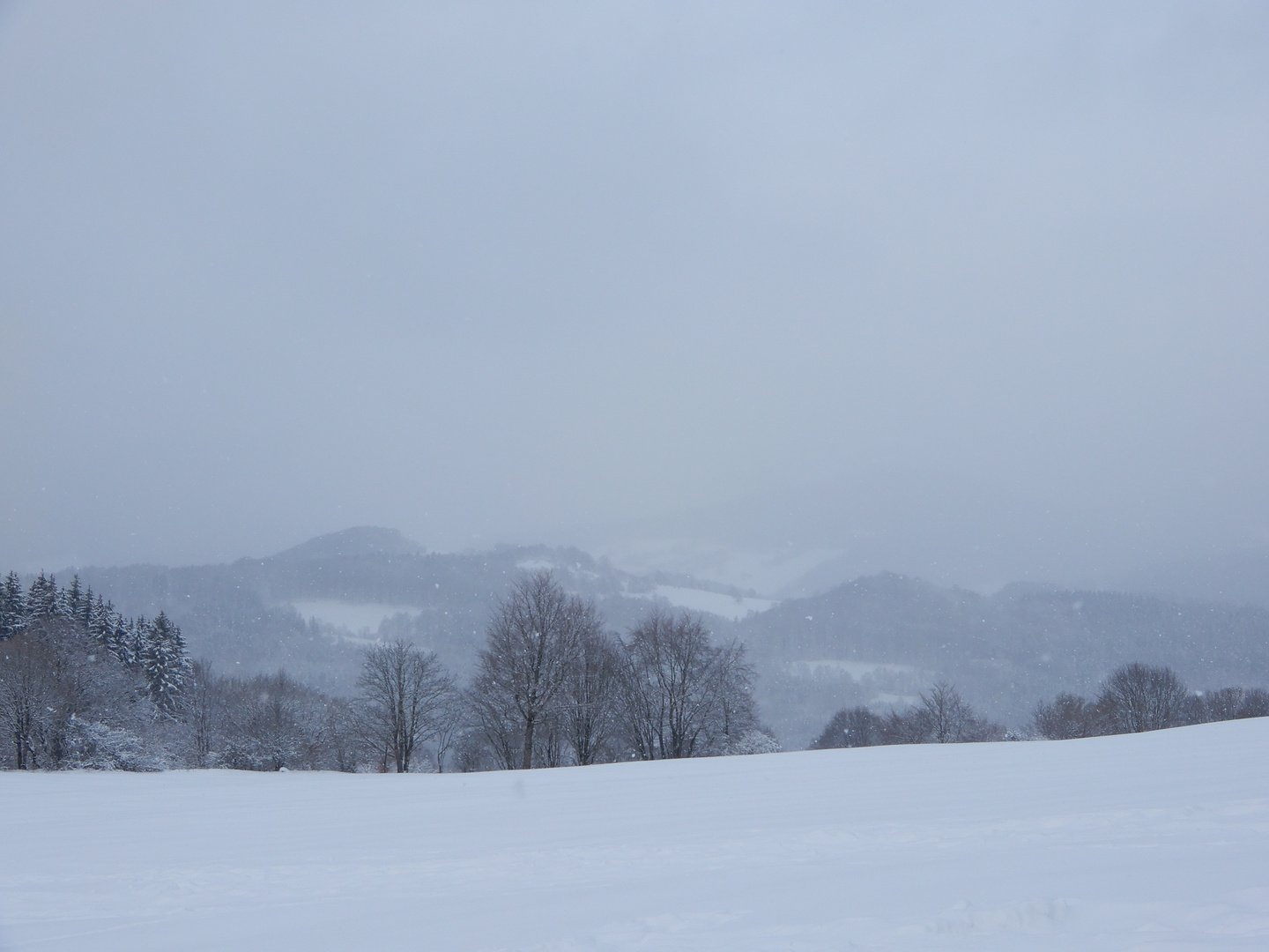 Die Rhön im Nebel