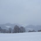 Die Rhön im Nebel