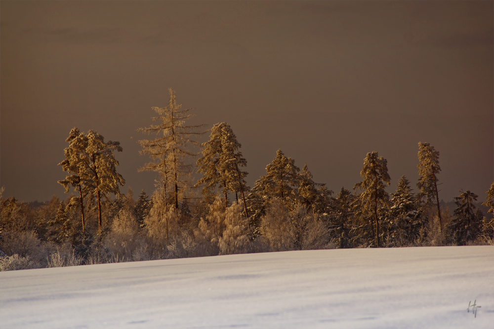 Die Rhön im Winter