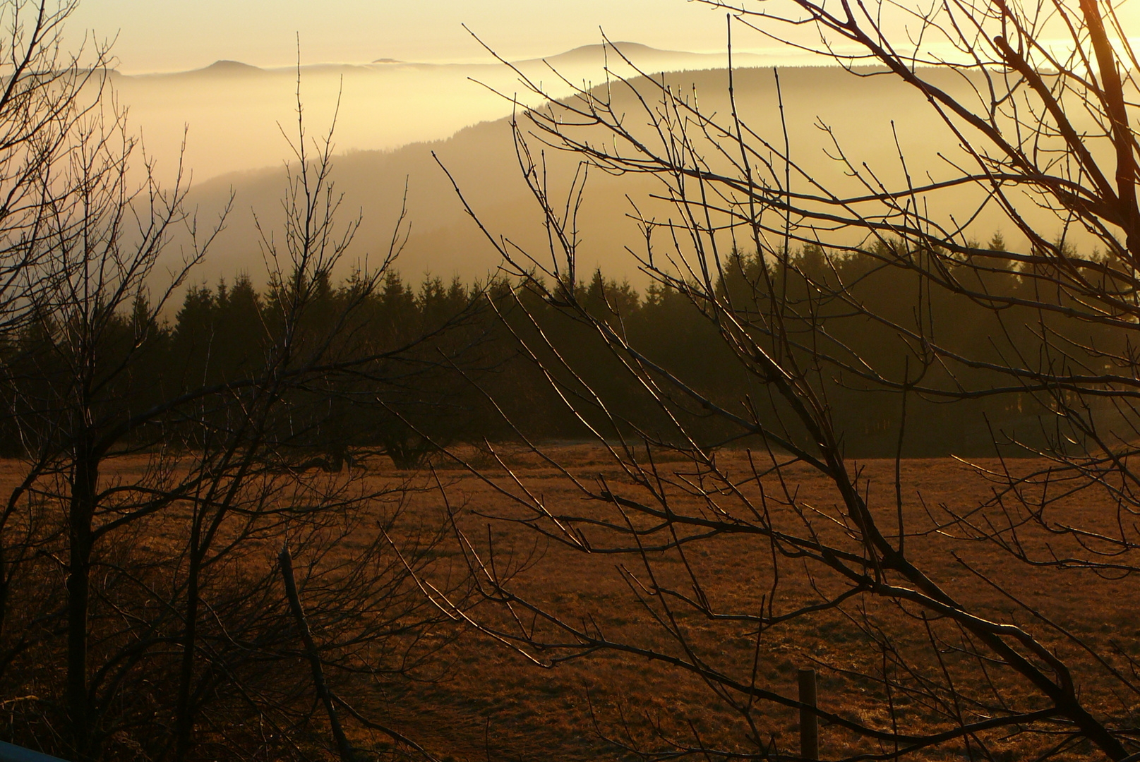 Die Rhön in Gold